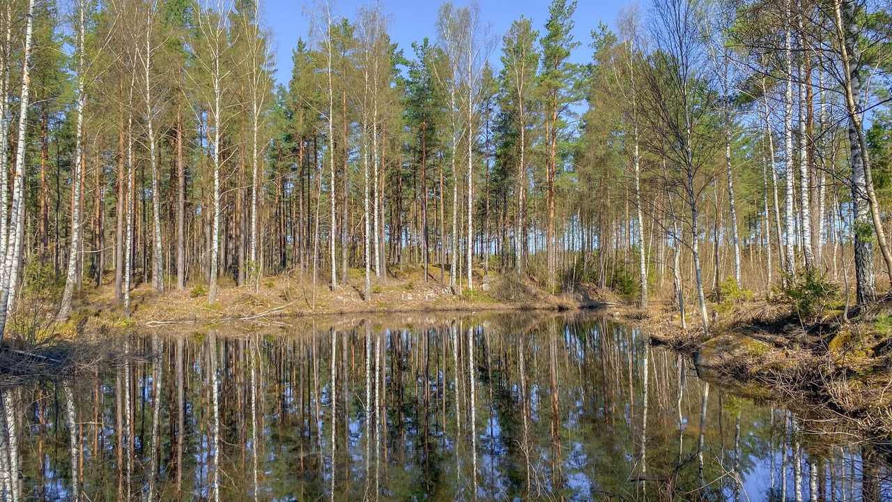 Photo of Others in Nybro