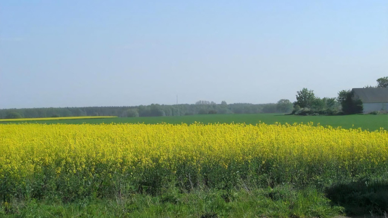 Photo of Others in Malarhusens