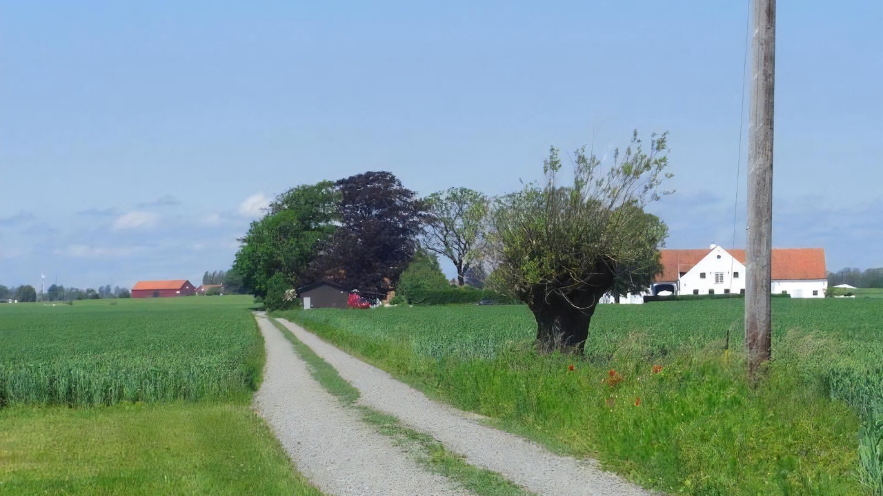 Photo of Others in Malarhusens