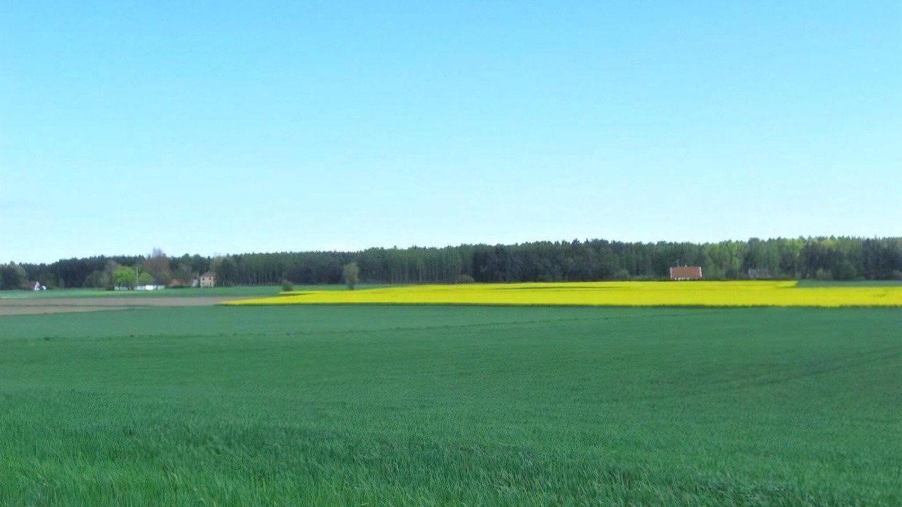 Photo of Others in Malarhusens