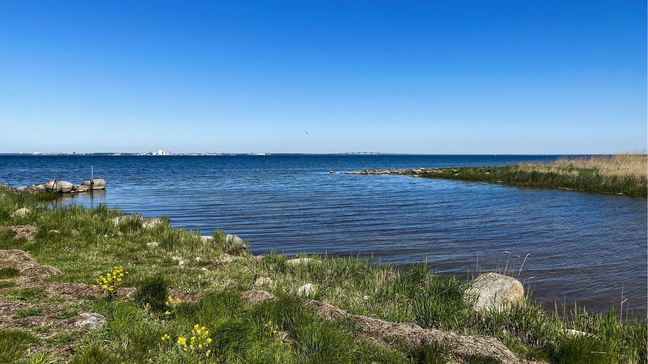 Photo of Others in Farjestaden
