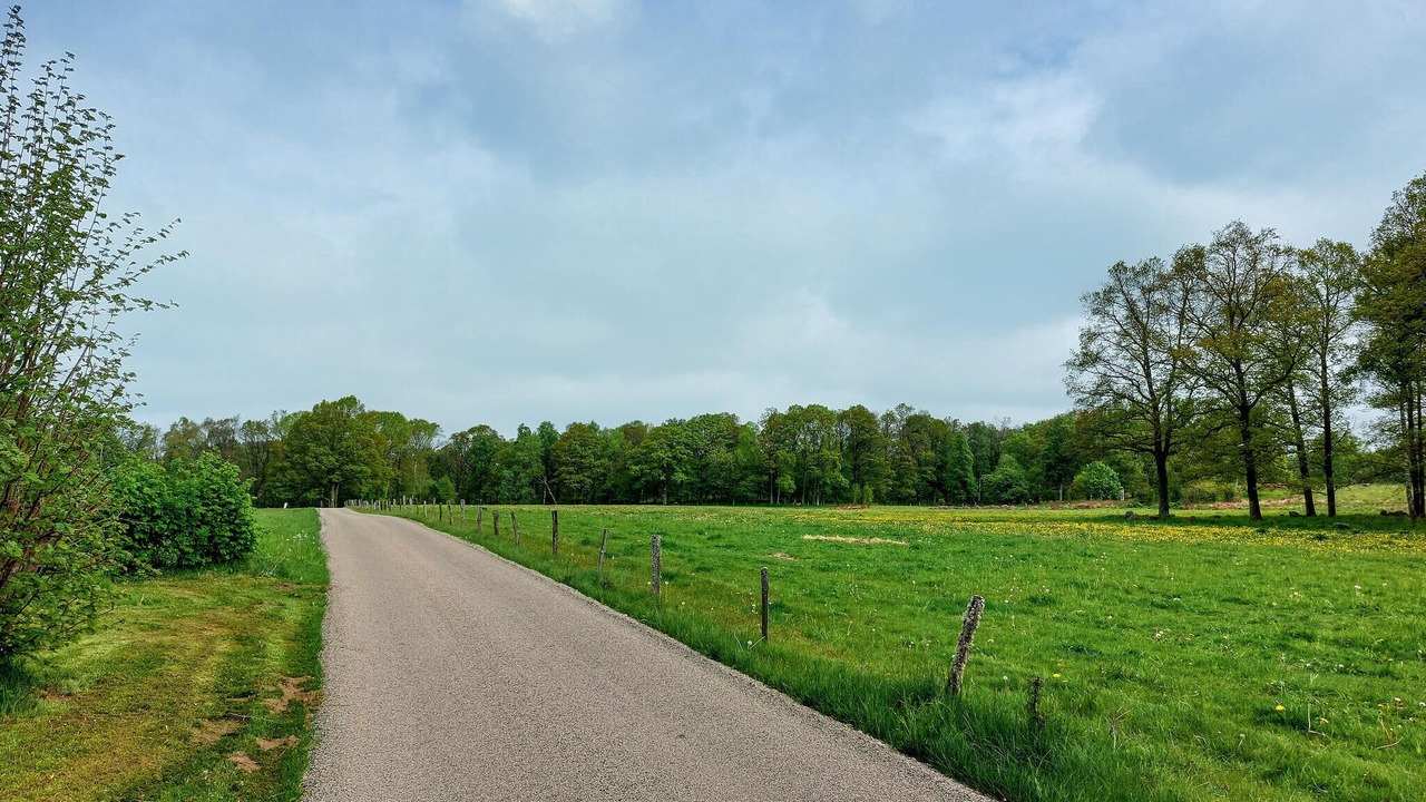 Photo of Others in Laholm Municipality