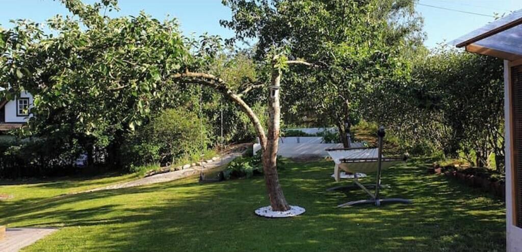 Photo of Outdoor in Lassby