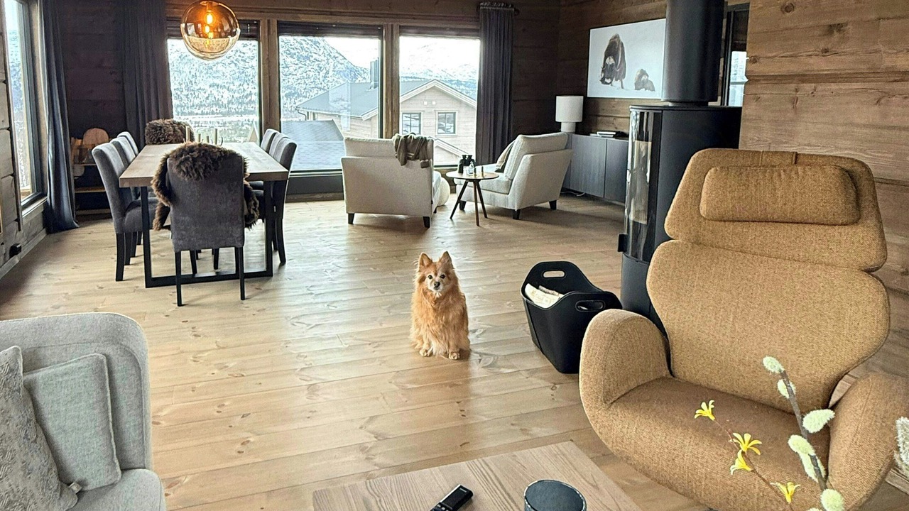 Photo of Livingroom in Bjorli