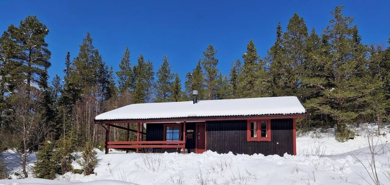 Photo of Outdoor in Lofsdalen