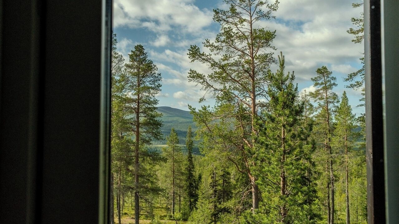 Photo of Others in Lofsdalen