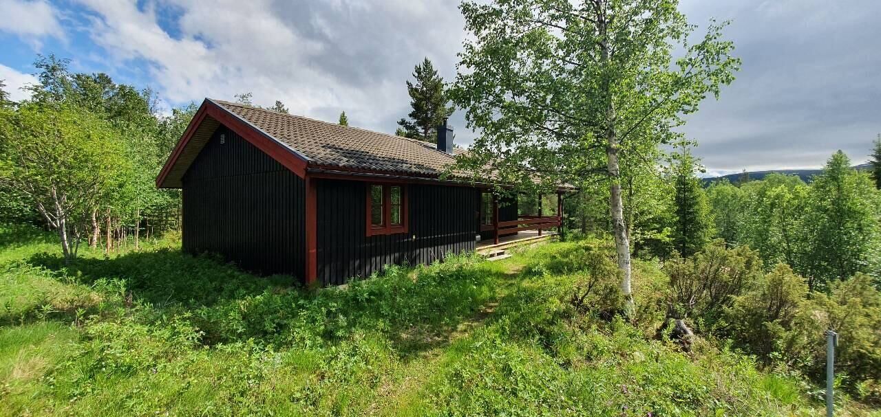 Photo of Outdoor in Lofsdalen