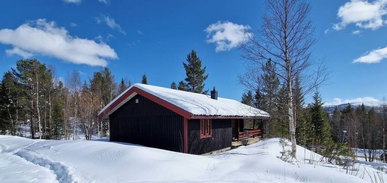 Photo of Outdoor in Lofsdalen