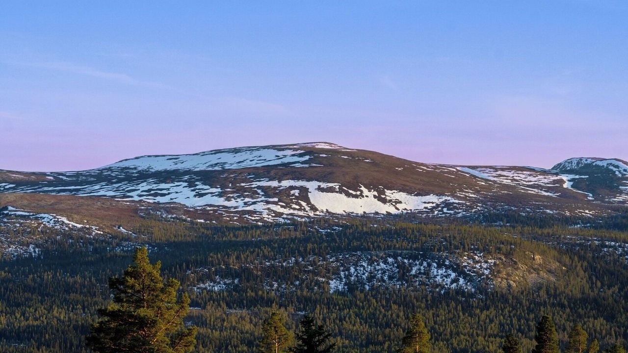 Photo of Others in Lofsdalen