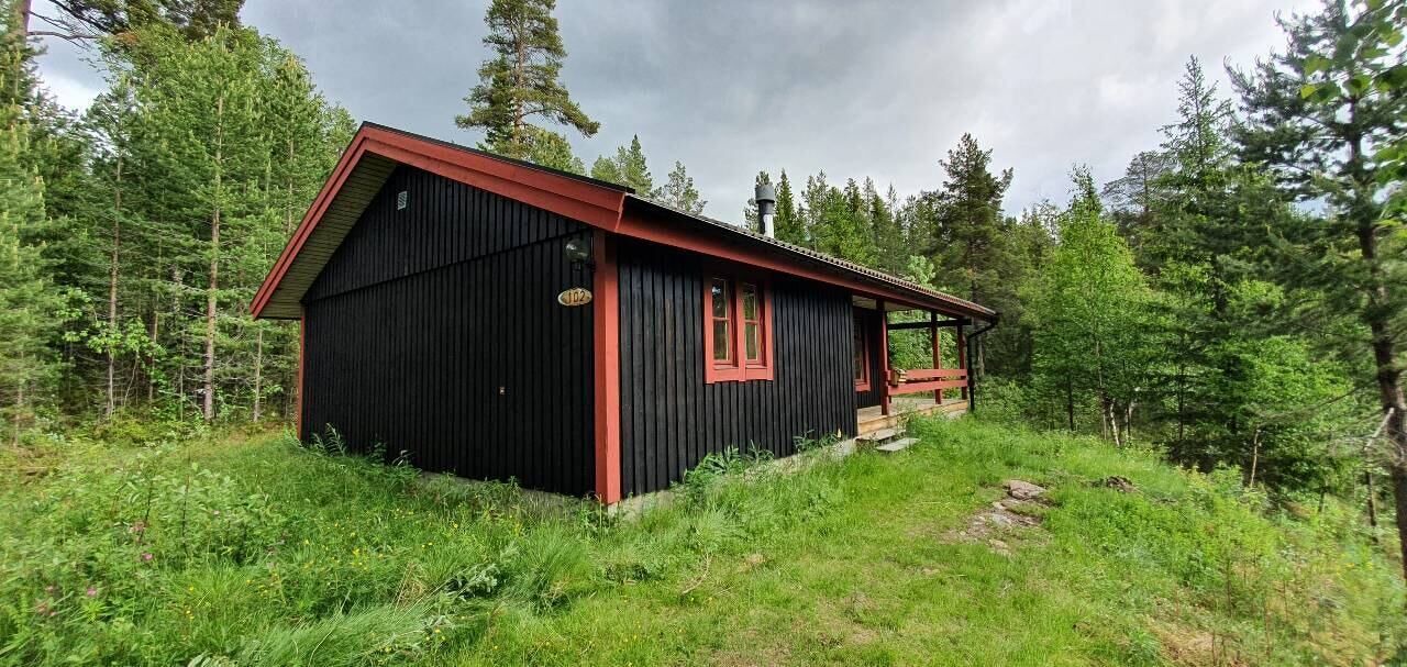Photo of Outdoor in Lofsdalen