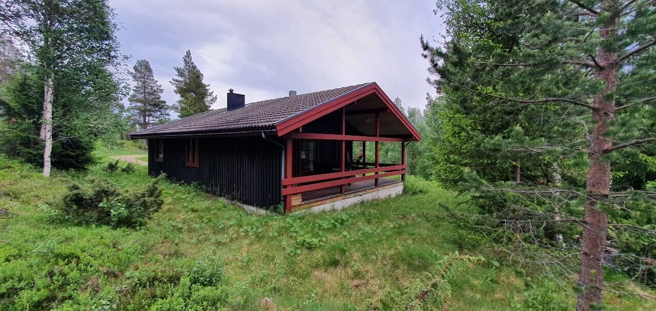 Photo of Outdoor in Lofsdalen