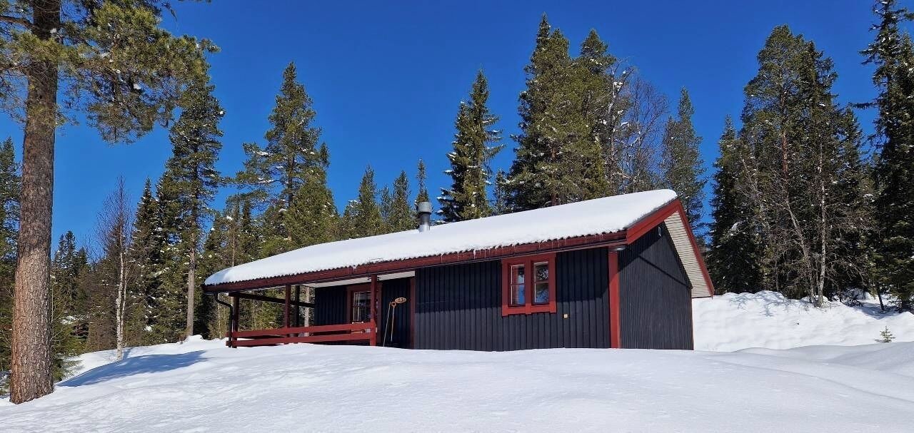 Photo of Outdoor in Lofsdalen