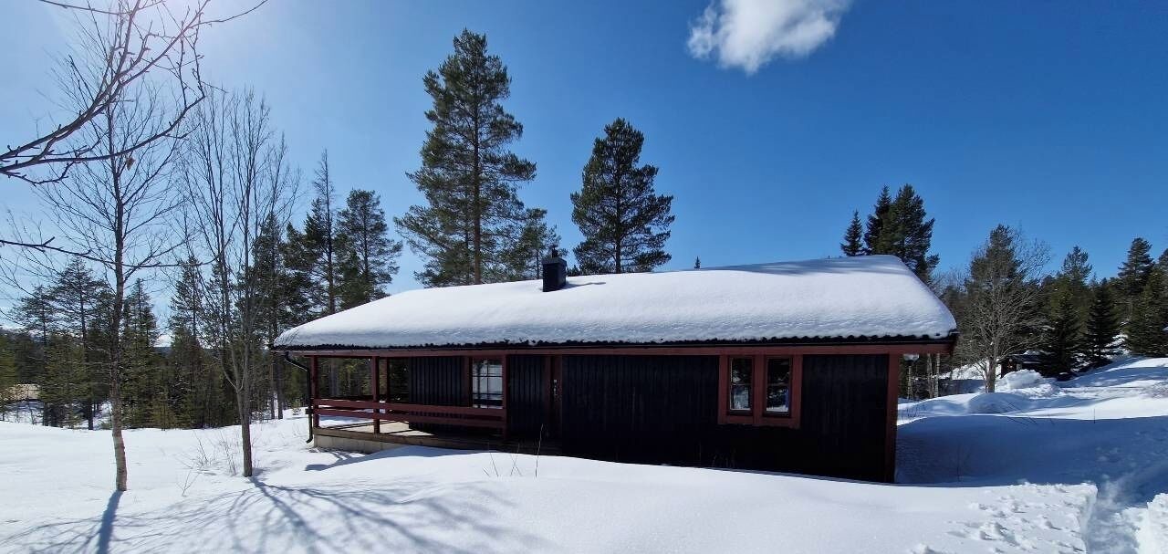 Photo of Outdoor in Lofsdalen