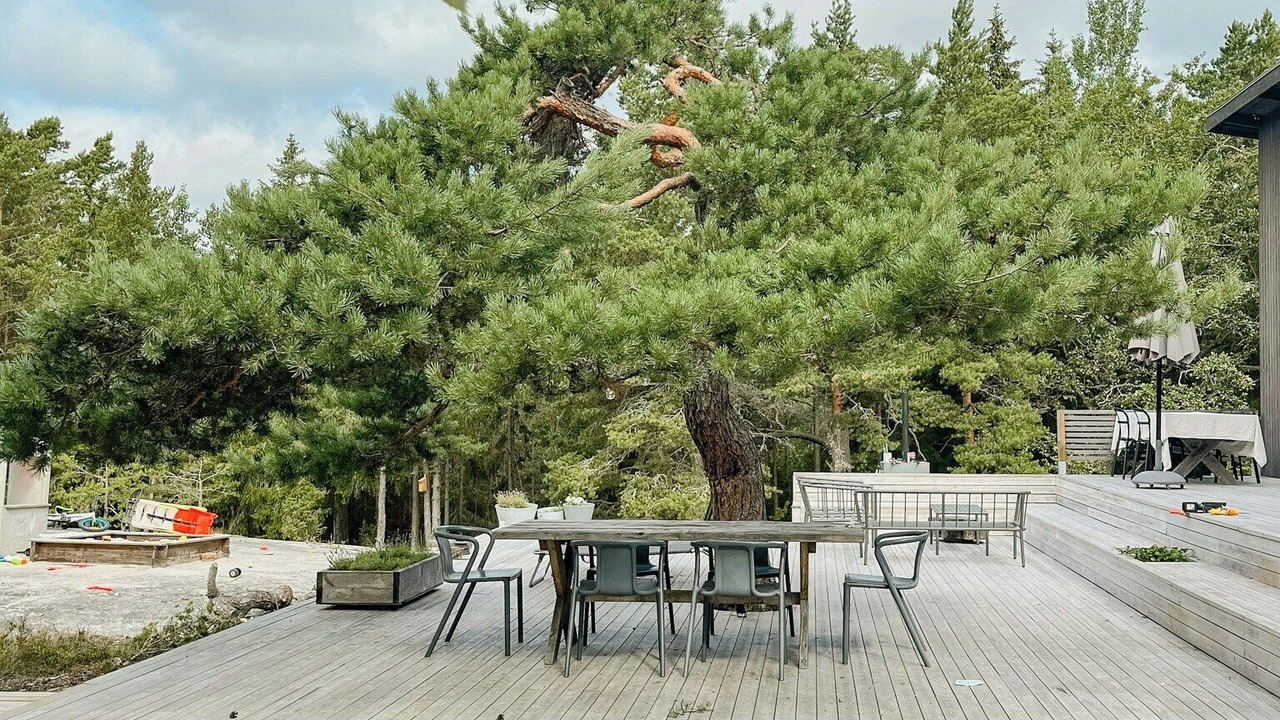 Photo of Outdoor in Moja