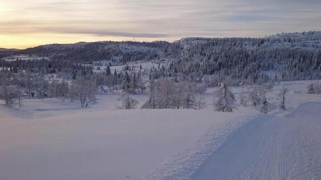 Photo of Others in Svingvoll