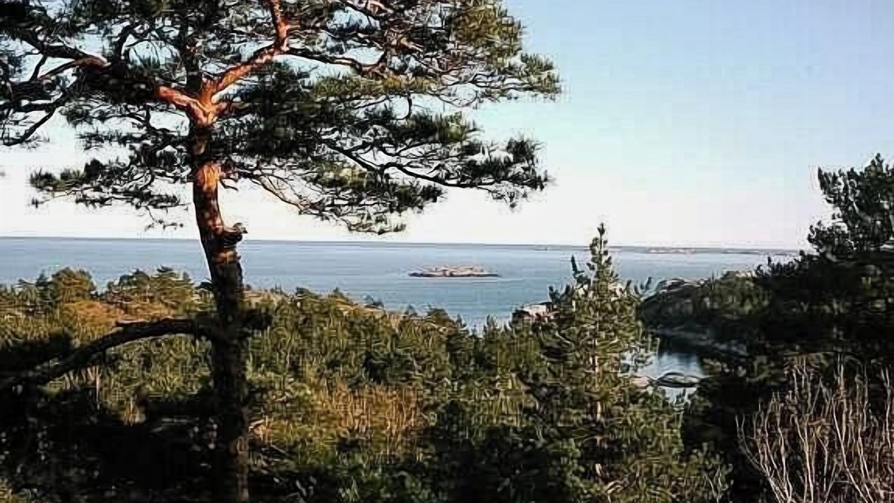 Photo of Others in Larvik