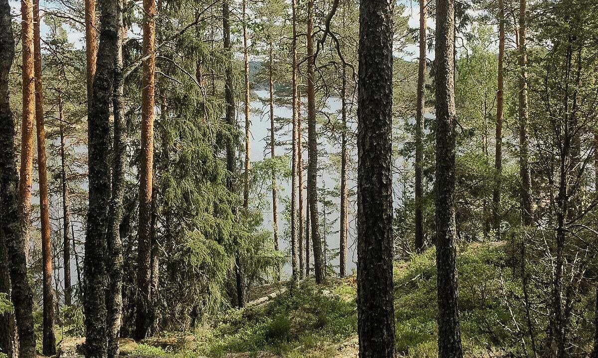 Photo of Others in Eidsberg