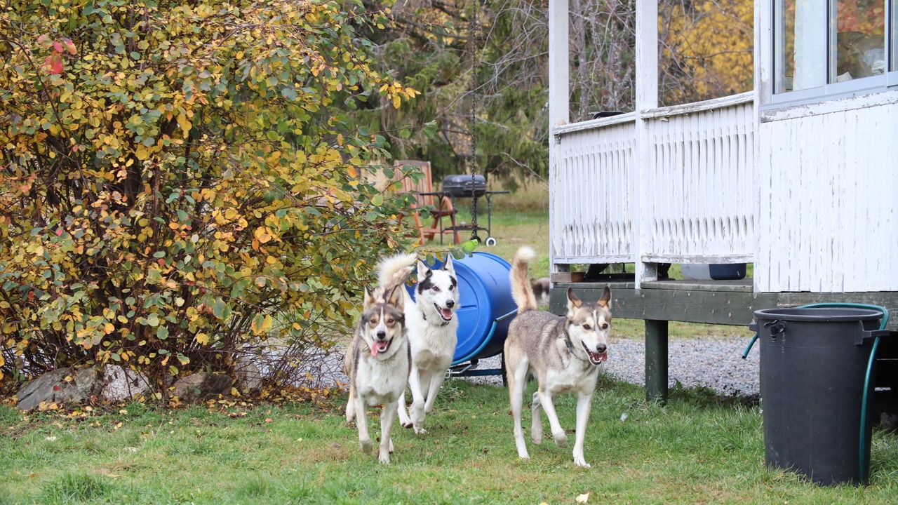 Photo of Outdoor in Rentjarn