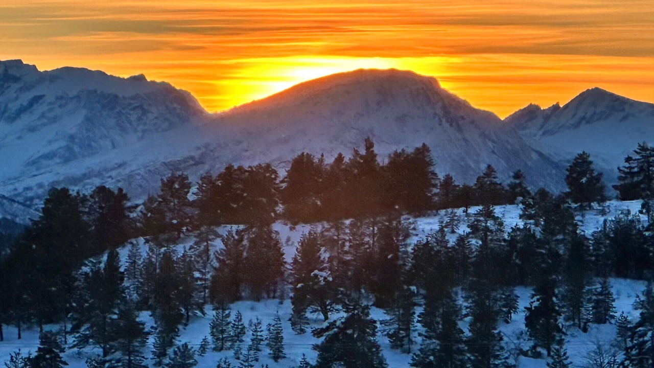 Photo of Others in Skodje