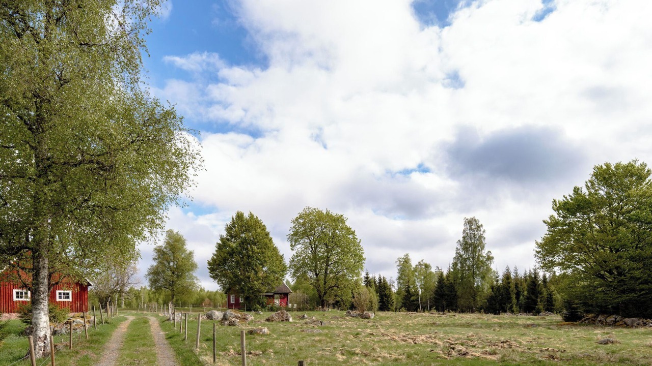Photo of Outdoor in Eneryda