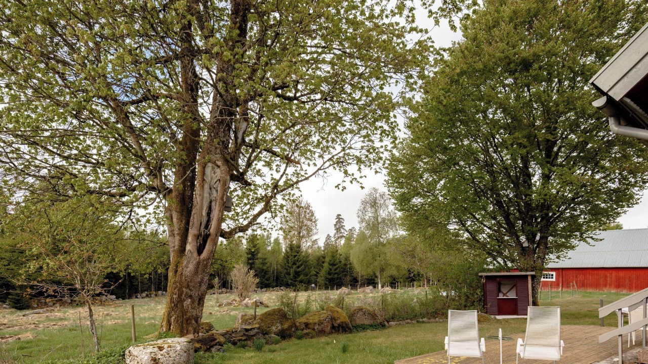 Photo of Others in Eneryda
