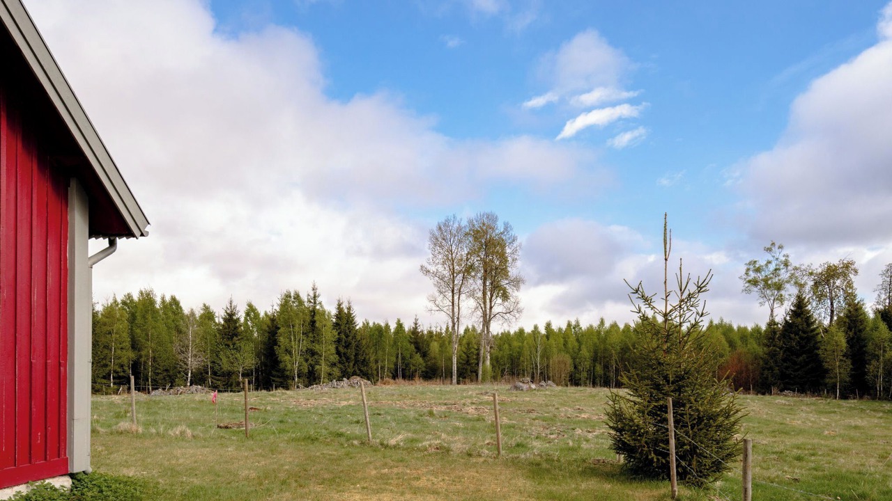 Photo of Others in Eneryda