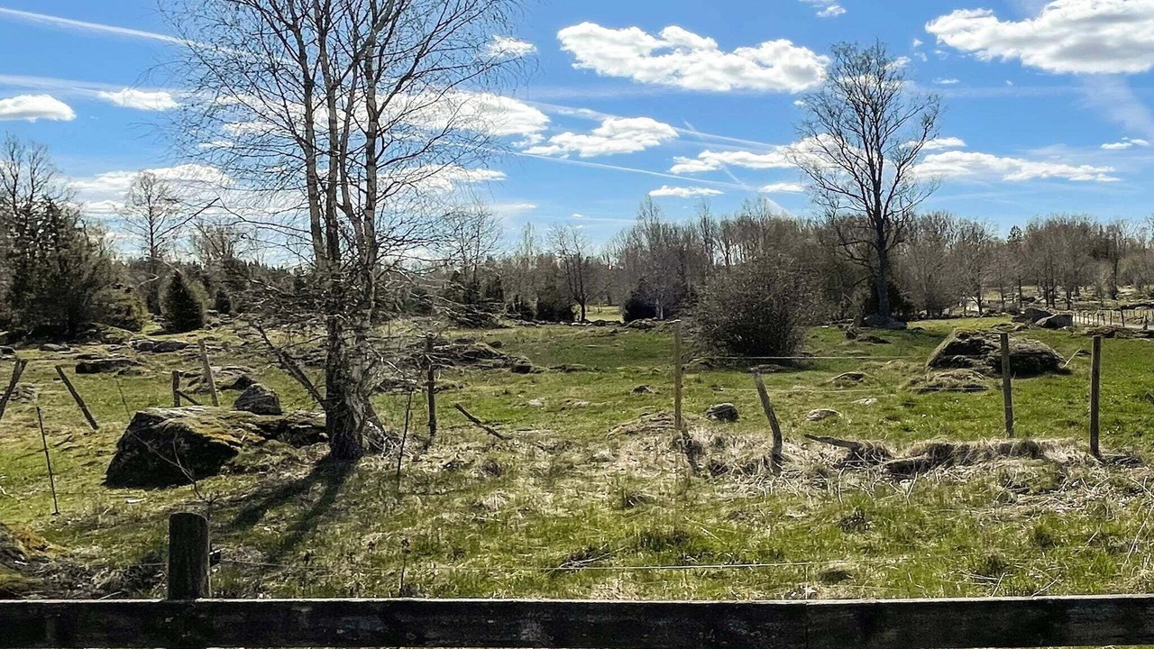Photo of Outdoor in Morlunda