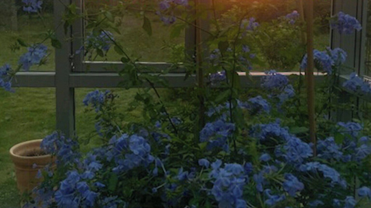 Photo of Outdoor in Burgsvik