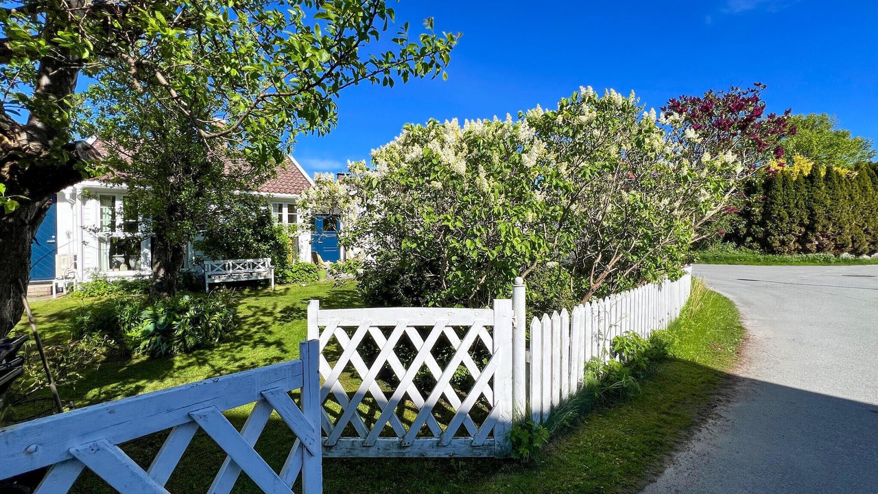 Photo of Others in Mebø