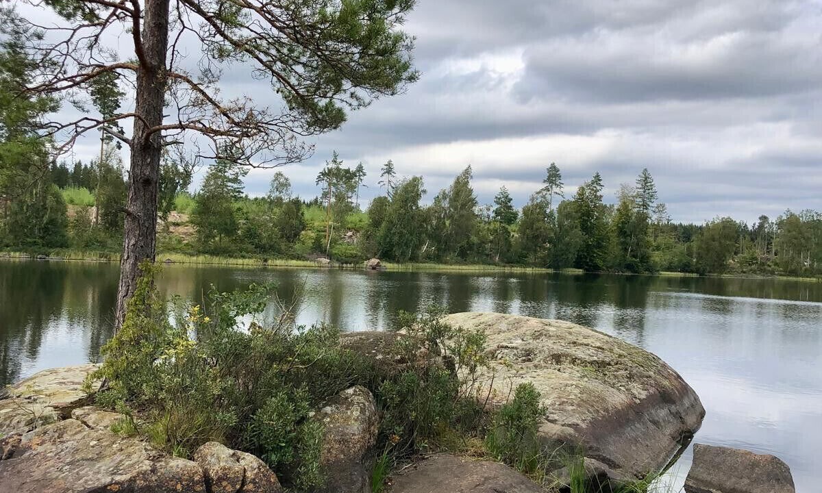 Photo of Others in Bergkvara