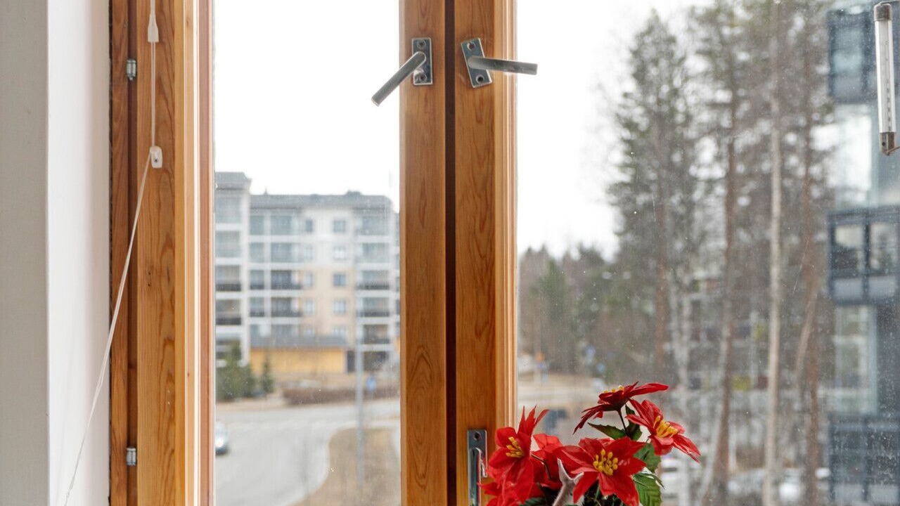 Photo of Others in Rovaniemi