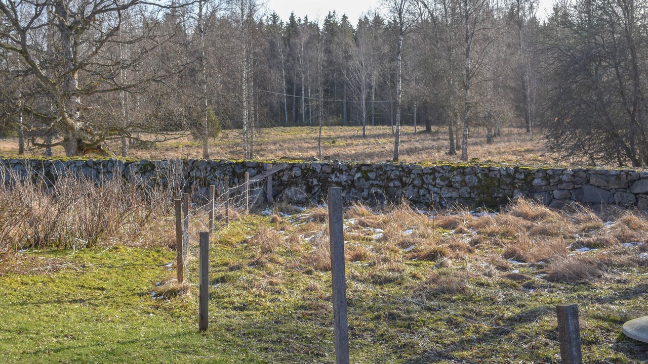 Photo of Others in Tingsryd
