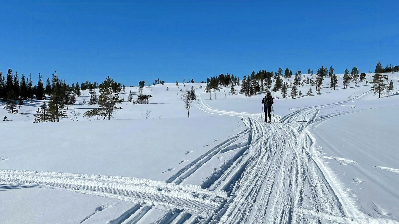 Photo of Others in Verdal