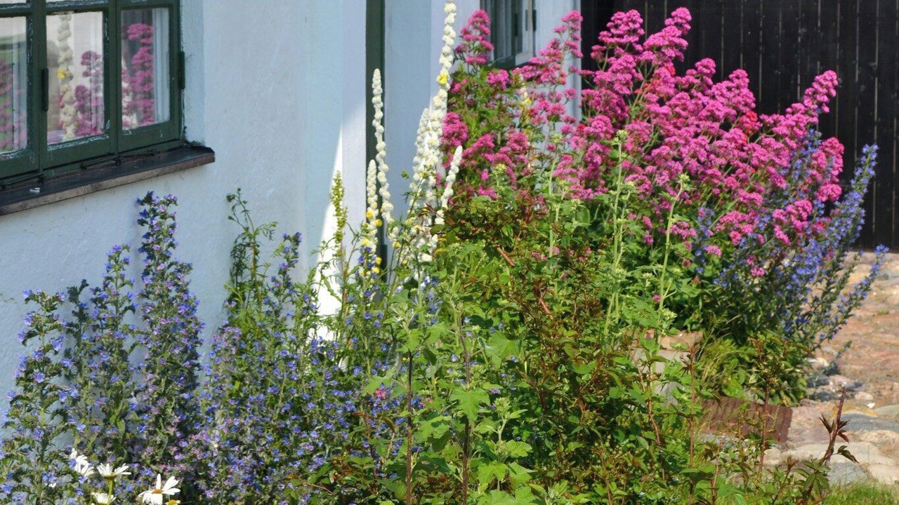 Photo of Outdoor in Malarhusens