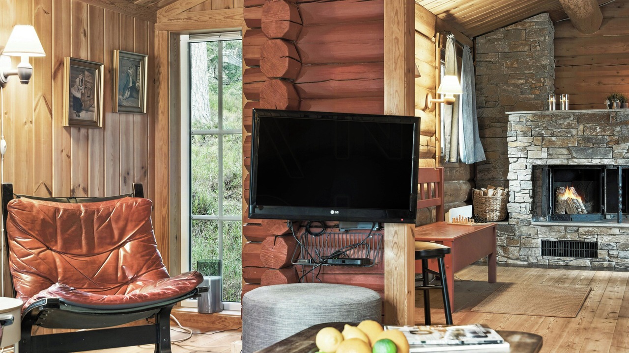 Photo of Livingroom in Trysil