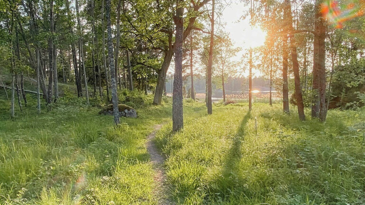 Photo of Others in Djurhamn