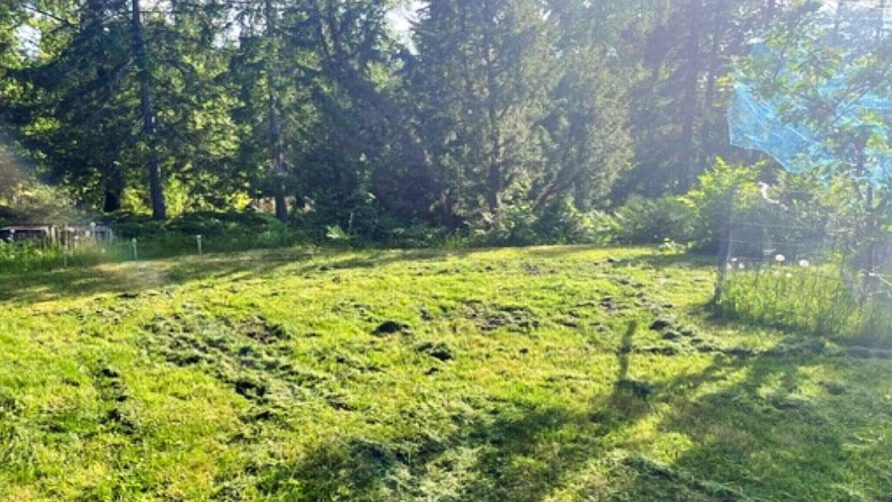 Photo of Outdoor in Djurhamn