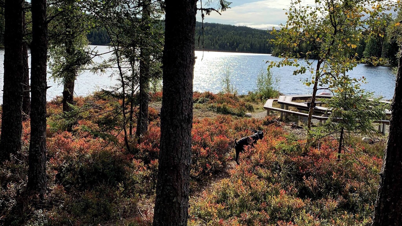 Photo of Others in Hurdal Municipality