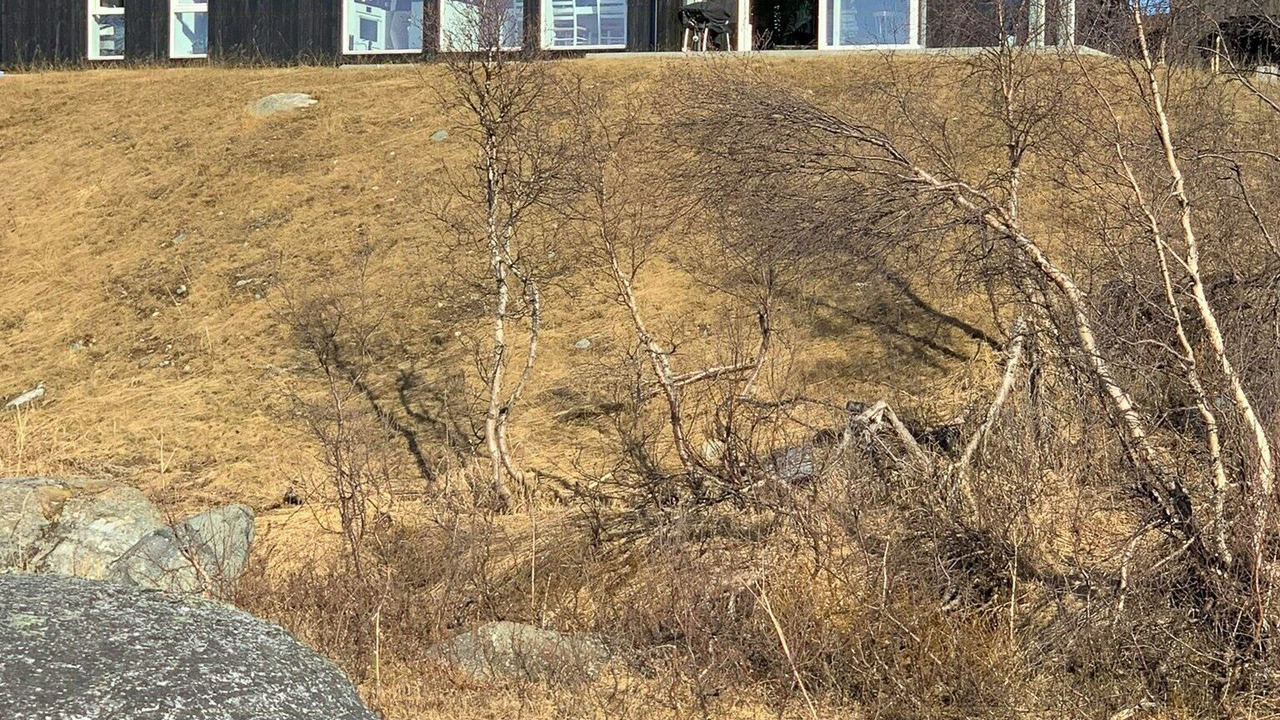 Photo of Outdoor in Hovden