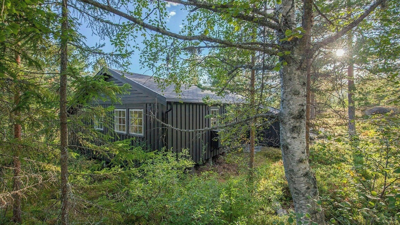 Photo of Outdoor in Sigdal Municipality