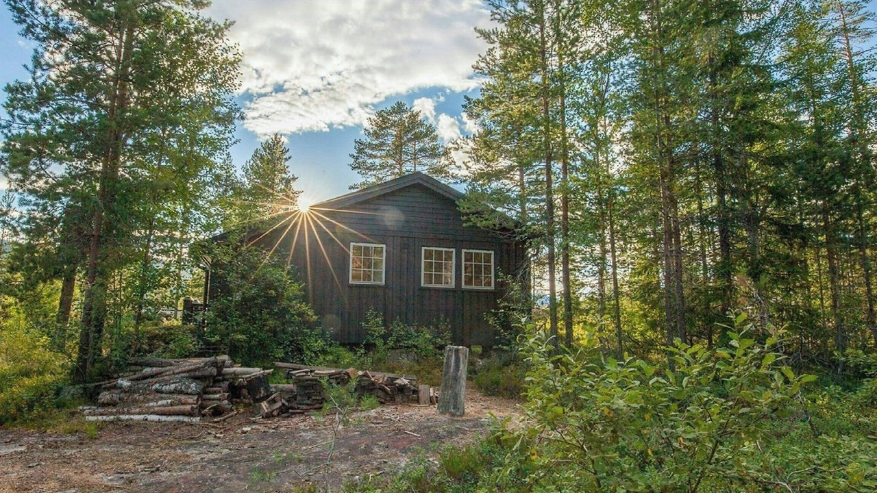 Photo of Outdoor in Sigdal Municipality