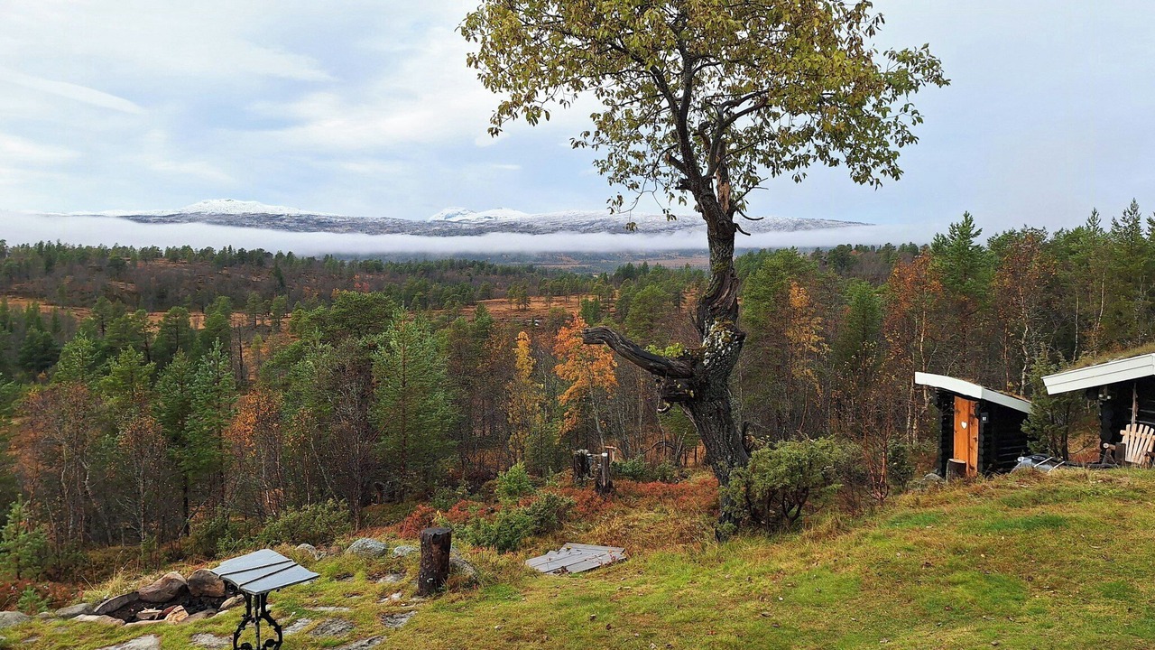 Photo of Outdoor in Rennebu