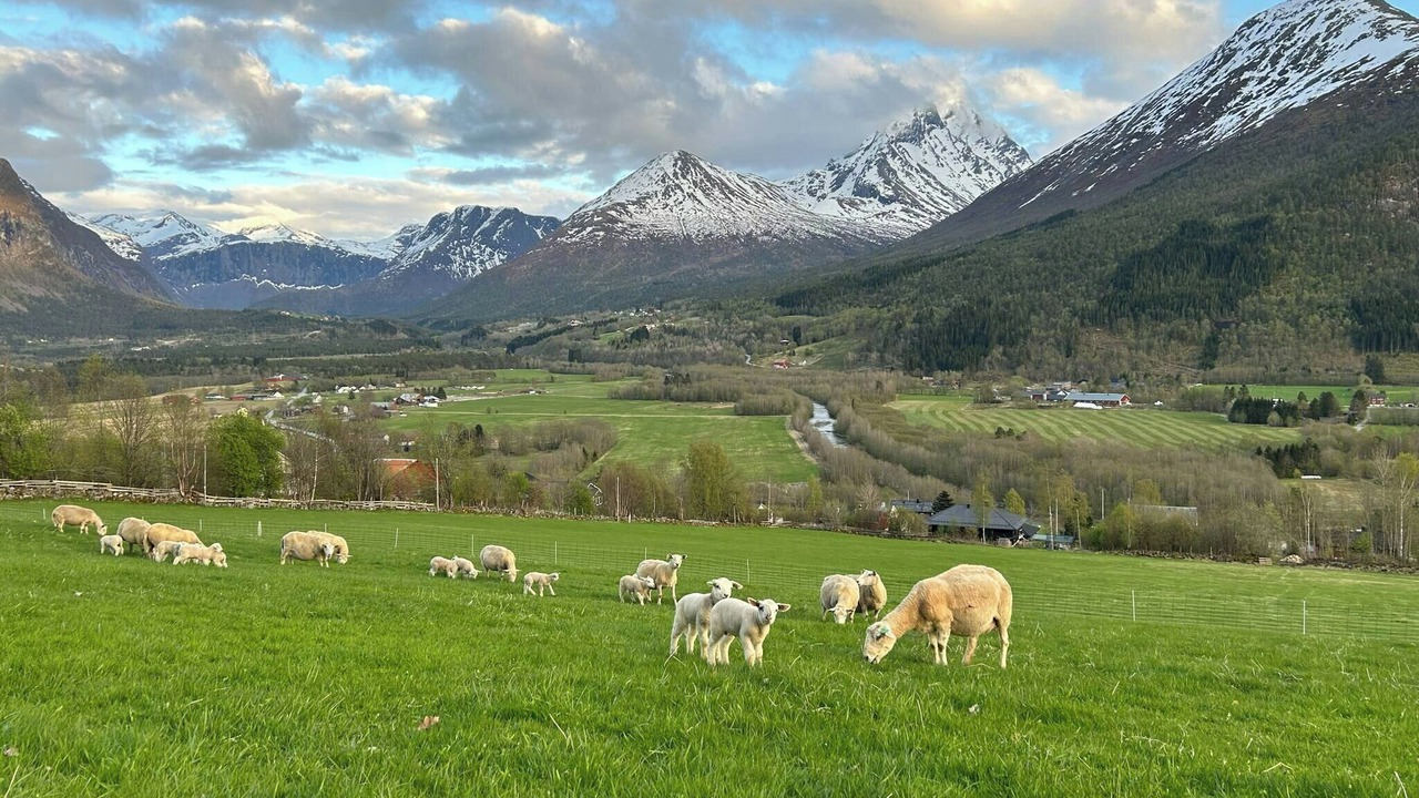 Photo of Others in Isfjorden