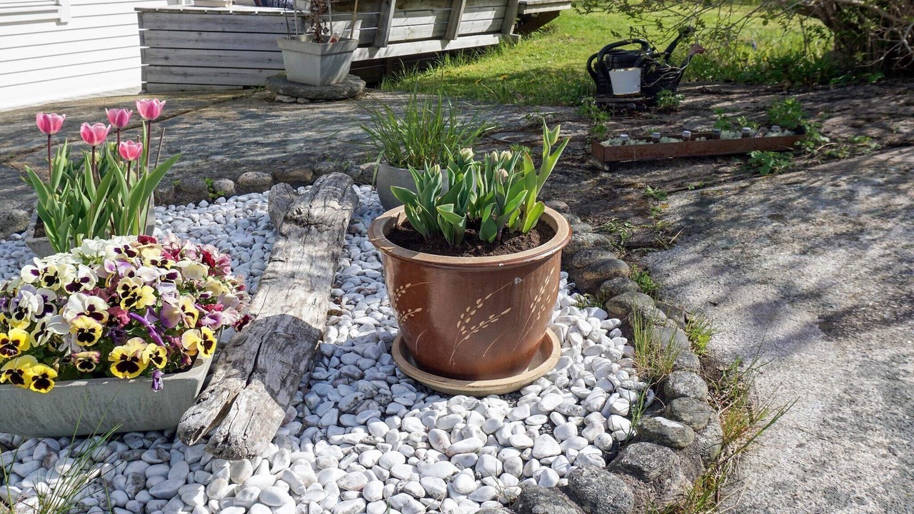 Photo of Outdoor in Hamburgsund