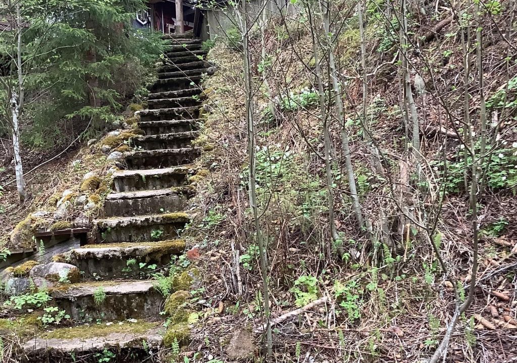 Photo of Others in Vittjarn