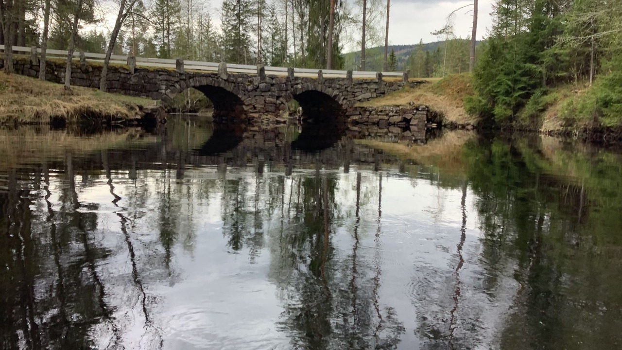 Photo of Others in Vittjarn