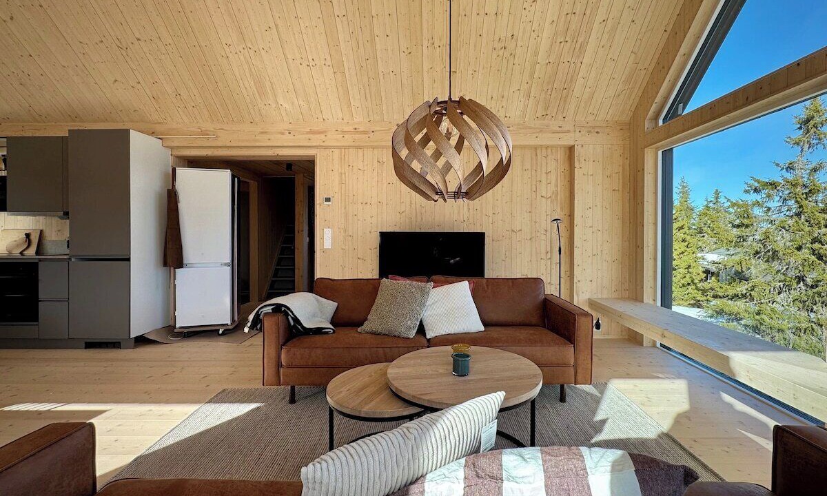 Photo of Livingroom in Sjusjoen