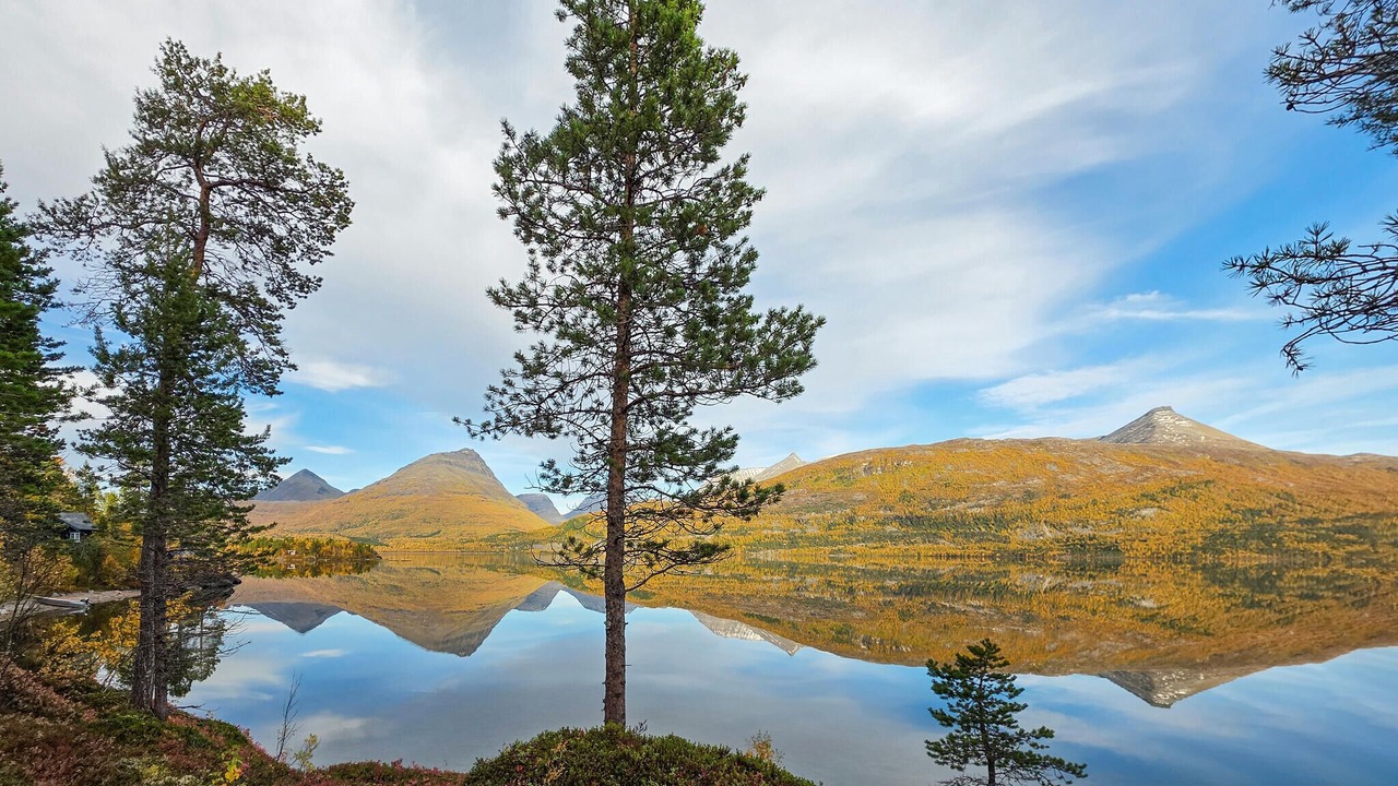 Photo of Bedroom in Balsfjord
