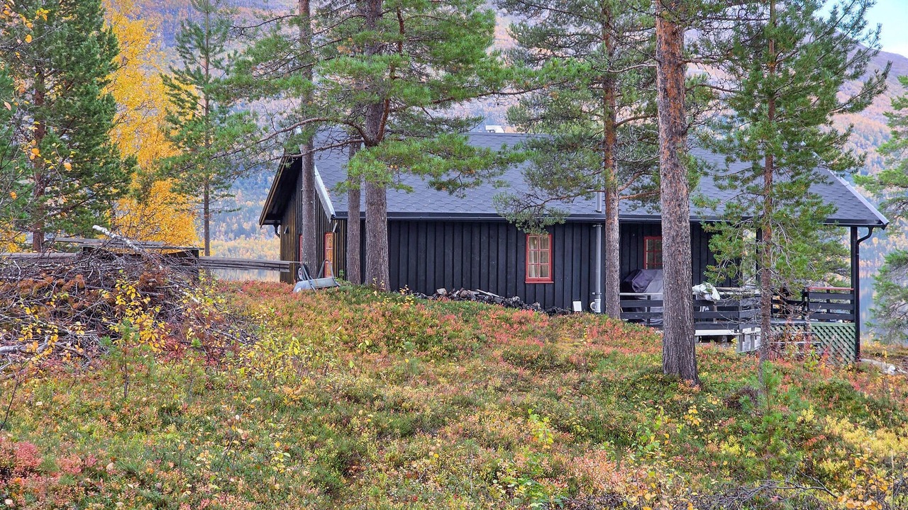 Photo of Others in Balsfjord