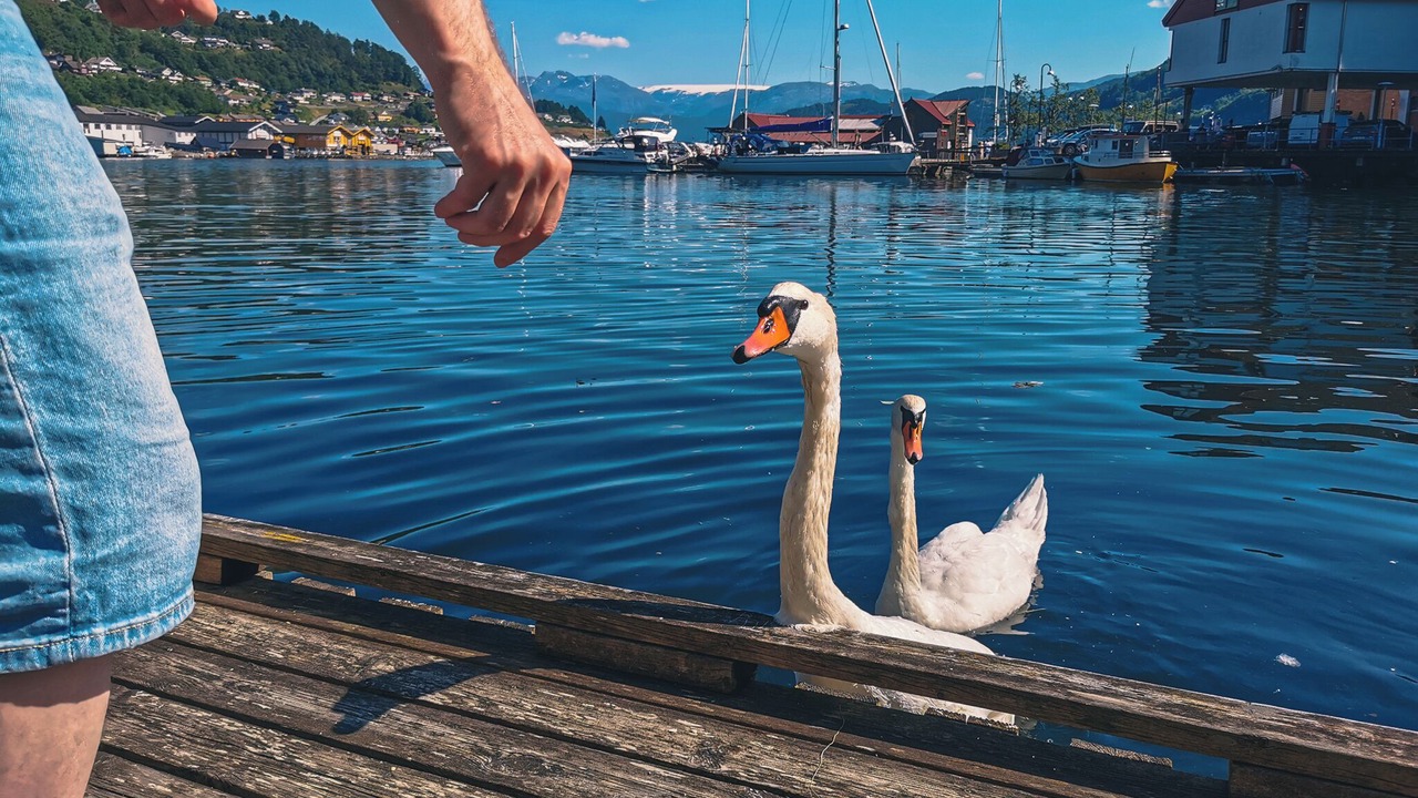 Photo of Others in Norheimsund